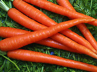 Carrots: Beyond The Relish Tray
