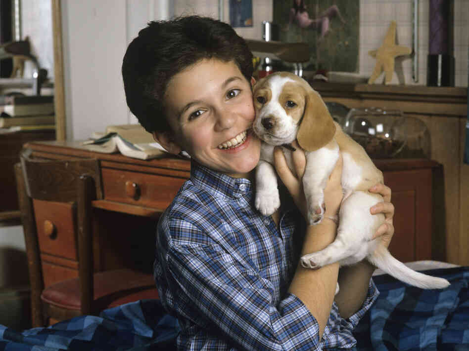 The face you may remember: Fred Savage cuddles up with a puppy on The Wonder Years, in a photo from December 1989. The face you may remember: Fred Savage cuddles up with a puppy on The Wonder Years, in a photo from December 1989.
