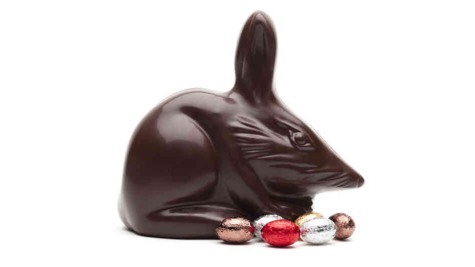 When purchasing chocolates for Easter, Australian conservationists say choose bilbies, not bunnies. When purchasing chocolates for Easter, Australian conservationists say choose bilbies, not bunnies.