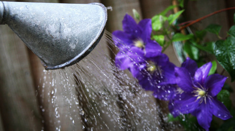 But watering cans are still OK. (2008 file photo from London.) But watering cans are still OK. (2008 file photo from London.)