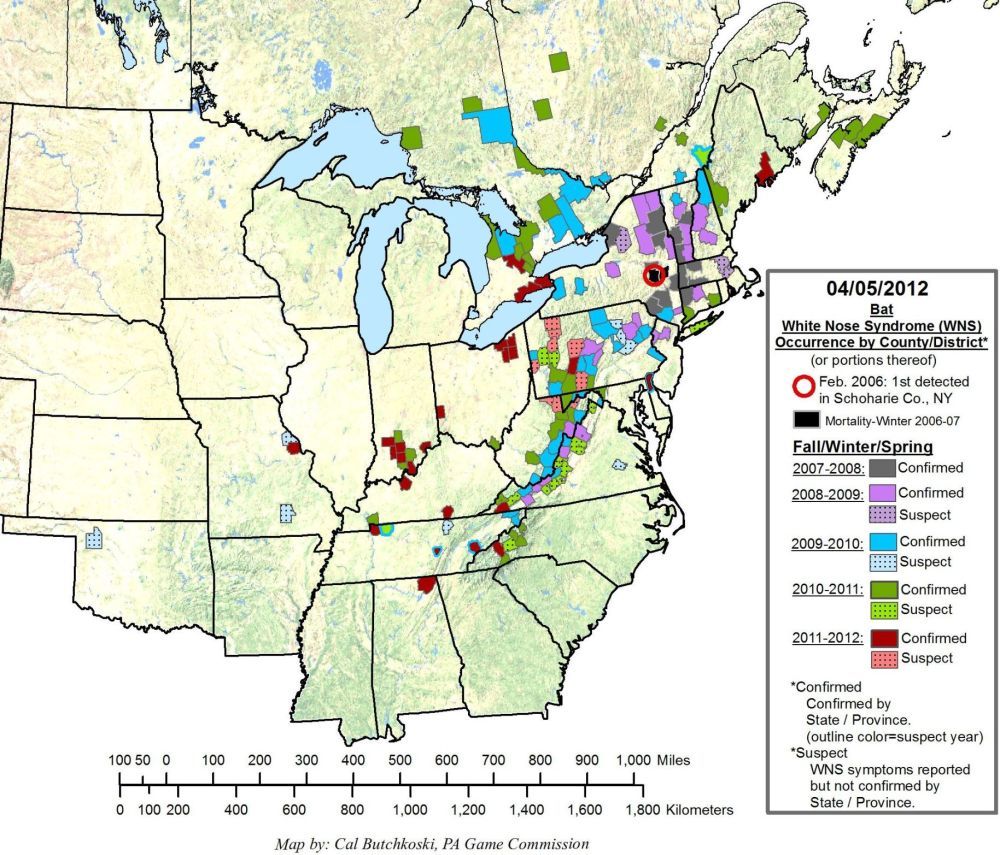 This map shows the prevalence and spread of white-nose syndrome among bats in the eastern U.S. since 2007. Incidences of white-nose syndrome have been spreading west and south.