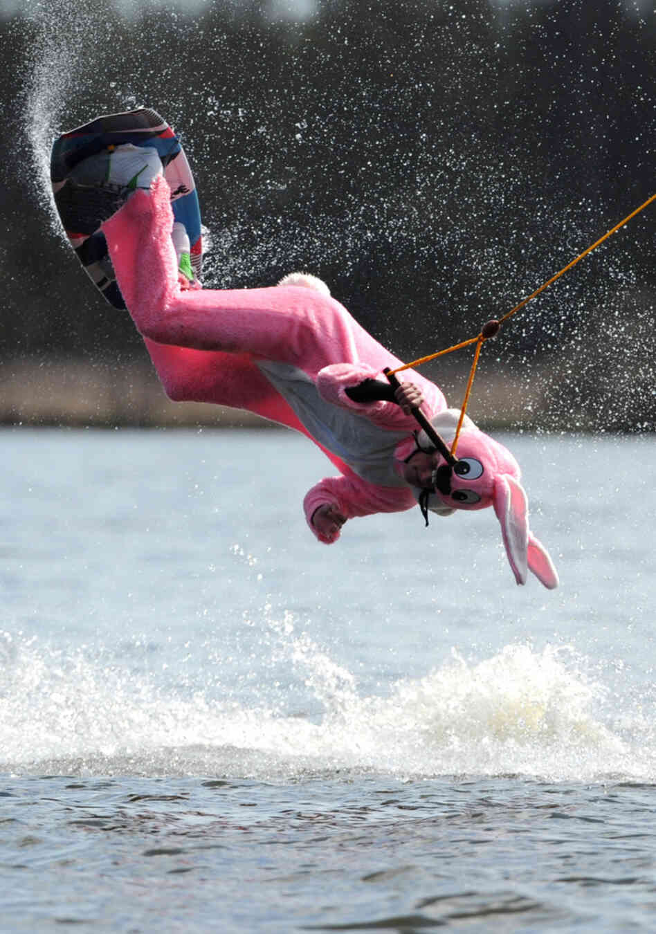 A person wearing an Easter bunny costume makes a wakeboard jump during a promotional event of the water ski arena in the northern German city of Hamburg on April 8, 2012. A person wearing an Easter bunny costume makes a wakeboard jump during a promotional event of the water ski arena in the northern German city of Hamburg on April 8, 2012.