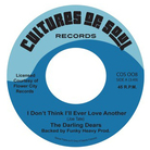 Cover of I Don't Think I'll Ever Love Another Cover of I Don't Think I'll Ever Love Another