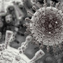An electron microscope view of the bird flu virus.