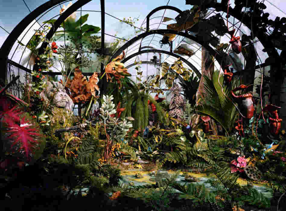Botanic Garden, 2008