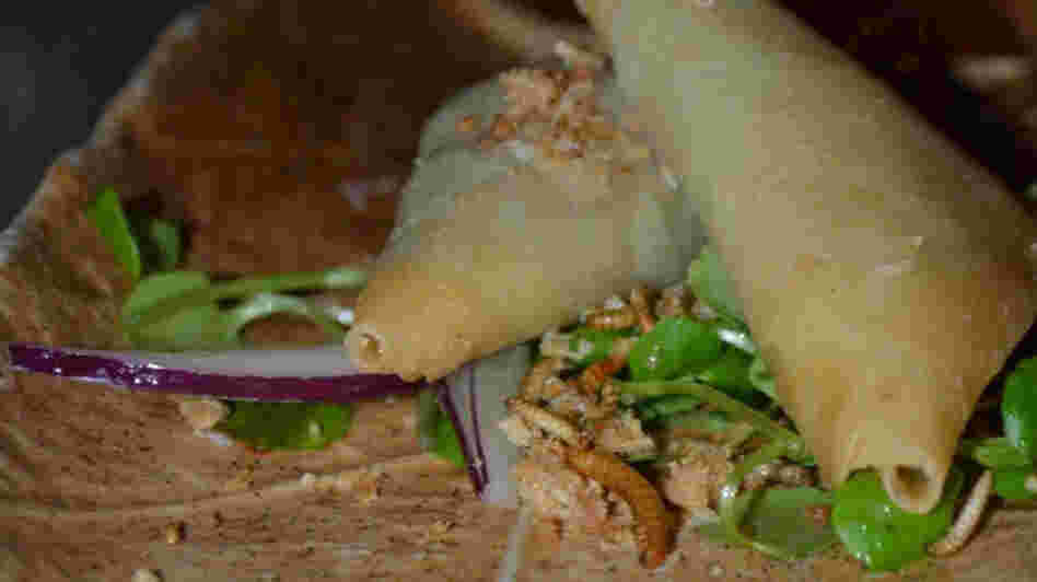 An African blesbok samosa with insect crumble — complete with mealworms and buffalo worms — at the Specktakel restaurant in the Netherlands.