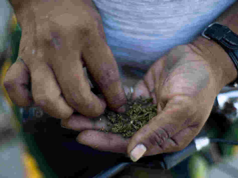 A man makes a joint during a march last month in Guatemala City, Guatemala, calling for the decriminalization of marijuana.
