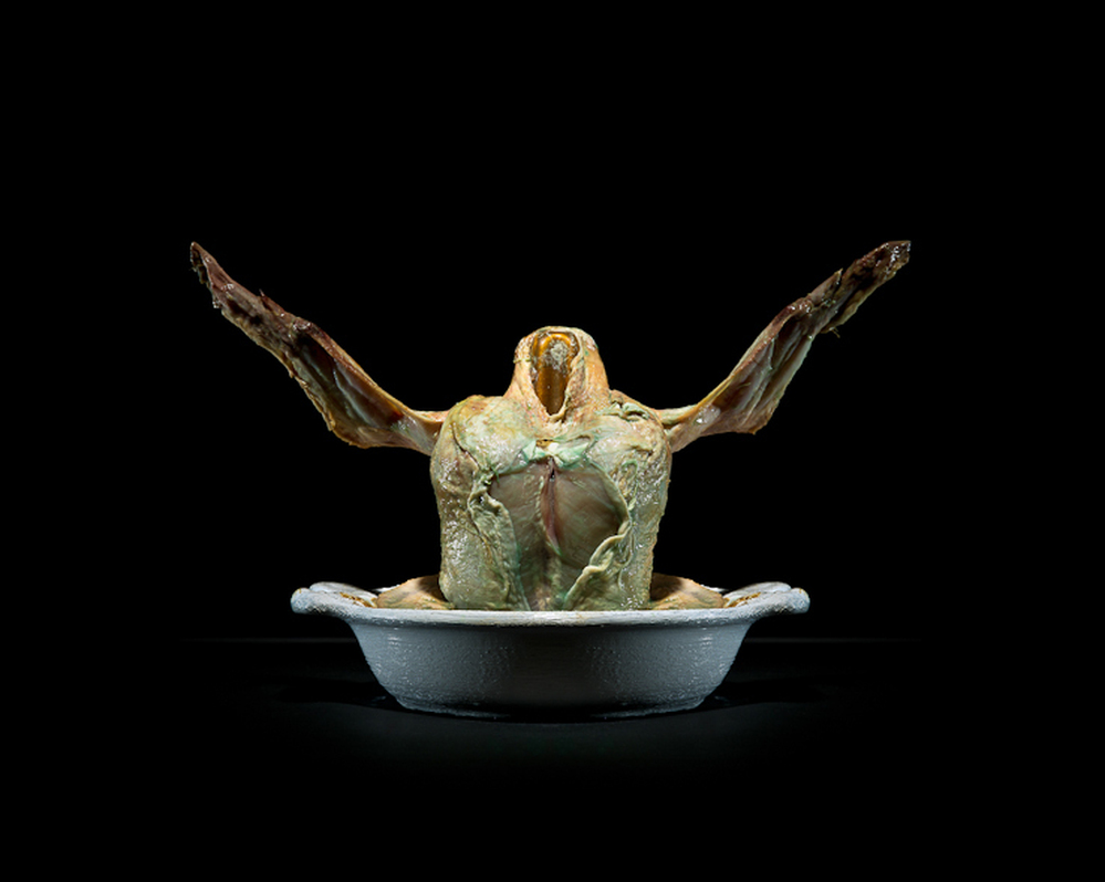 Chicken | Place of production: Behamberg, Austria | Transporting distance: 183 km | Carbon footprint (total) per kg: 3,54 kg | Water requirement (total) per kg: 1551 L