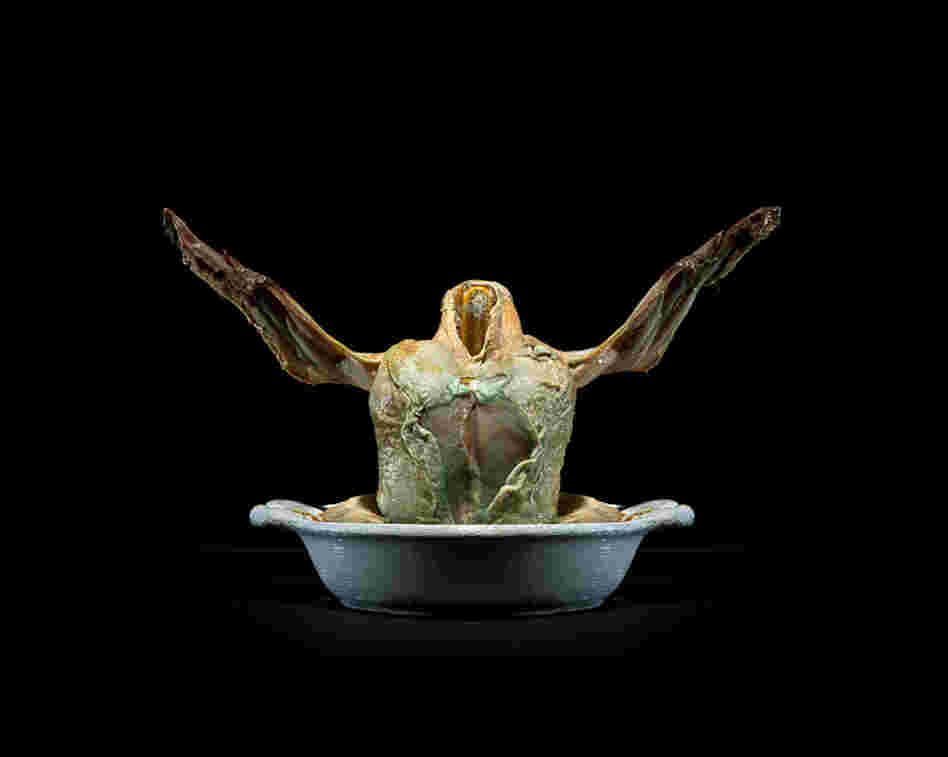  Chicken | Place of production: Behamberg, Austria | Transporting distance: 183 km | Carbon footprint (total) per kg: 3,54 kg | Water requirement (total) per kg: 1551 L