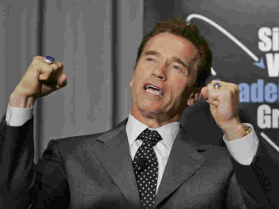 Former California Gov. Arnold Schwarzenegger, seen here in 2007, once rescued a swimmer in distress. 