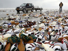 Tennis shoes lay on the beach on Terschelling island, Netherlands, Feb. 10, 2006. They were from a shipping container that fell off a ship during a storm. Tennis shoes lay on the beach on Terschelling island, Netherlands, Feb. 10, 2006. They were from a shipping container that fell off a ship during a storm.