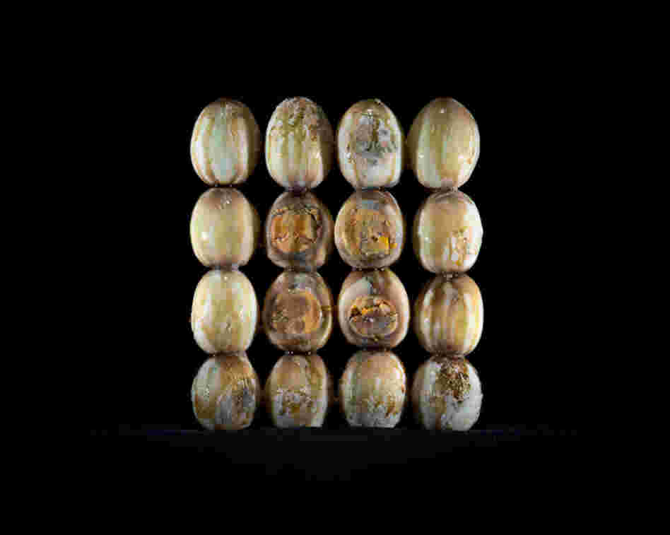 Eggs Place of production: Kolontar, HungaryTransporting distance: 196 km Carbon footprint (total) per kg: 5,82 kg  Water requirement (total) per kg: 3061 l