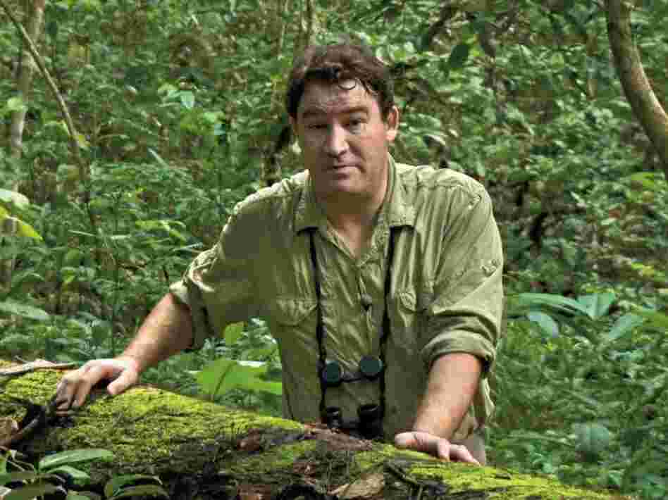 Alastair Fothergill was the executive producer of The Blue Planet and Planet Earth and the co-director of the films Deep Blue and Earth.