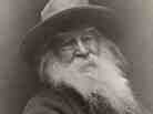Walt Whitman in 1887. Walt Whitman in 1887.