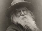 Walt Whitman in 1887. Walt Whitman in 1887.