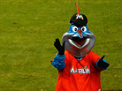 Billy the Marlin cheers during a game between the Miami Marlins and the Houston Astros at Marlins Park in Miami. Billy the Marlin cheers during a game between the Miami Marlins and the Houston Astros at Marlins Park in Miami.