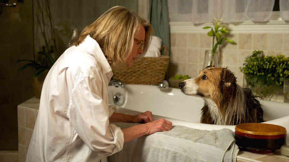Beth (Diane Keaton) and her adopted dog, Freeway, are parted when her distracted, workaholic husband, Joseph, loses Freeway in the woods. Beth (Diane Keaton) and her adopted dog, Freeway, are parted when her distracted, workaholic husband, Joseph, loses Freeway in the woods.