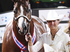 This November 2011 photo provided by The American Quarter Horse Journal shows Rita Crundwell of Dixon, Ill., at the 2011 American Quarter Horse Association World Championship Show in Oklahoma City. FBI agents arrested Crundwell, the Dixon comptroller, on charges she misappropriated more than $30 million since 2006 to finance a lavish lifestyle. This November 2011 photo provided by The American Quarter Horse Journal shows Rita Crundwell of Dixon, Ill., at the 2011 American Quarter Horse Association World Championship Show in Oklahoma City. FBI agents arrested Crundwell, the Dixon comptroller, on charges she misappropriated more than $30 million since 2006 to finance a lavish lifestyle.
