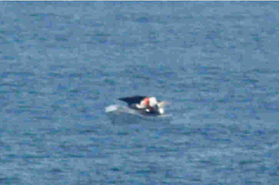 A zoomed-in view of the photo taken by Jeff Gilligan, of a boat drifting in the Pacific. When he saw the image, Adrian Vasquez — the boat's only survivor — said, "That's us."