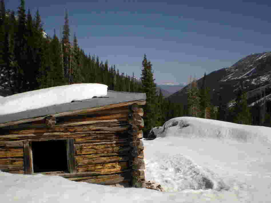 The Conundrum Creek Cabin where the cows met their unfortunate end. Photo taken on April 6.