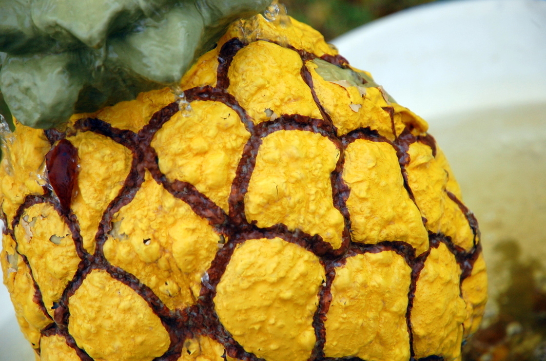 A pineapple fountain birdbath.
