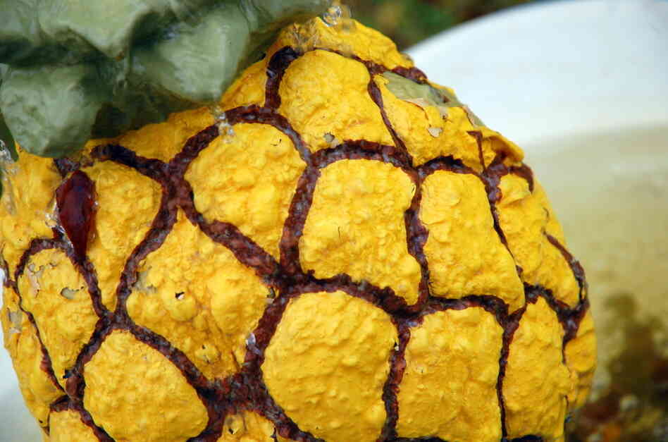 A pineapple fountain birdbath.