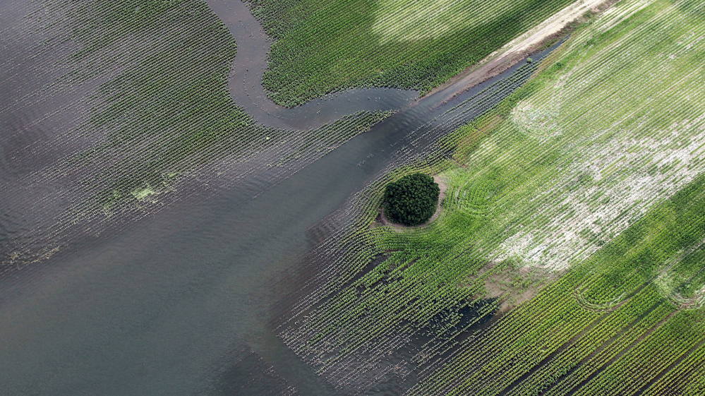 The Yazoo River floodwaters inundate crops last year in Yazoo County, Mississippi