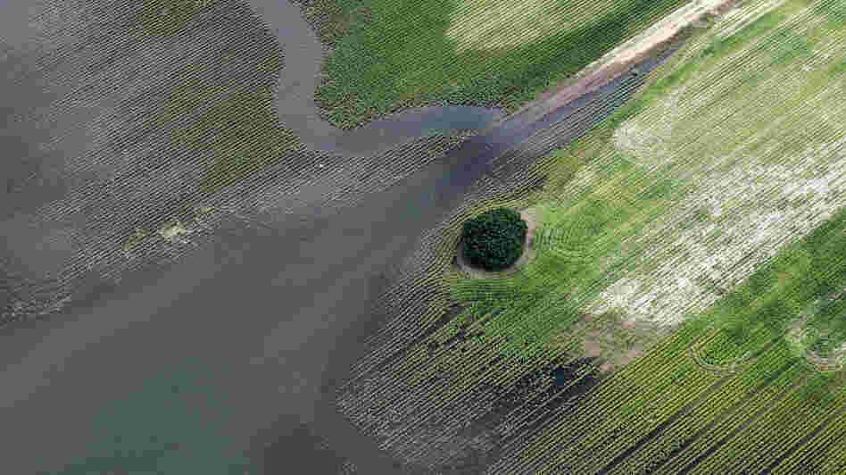 The Yazoo River floodwaters inundate crops last year in Yazoo County, Mississippi
