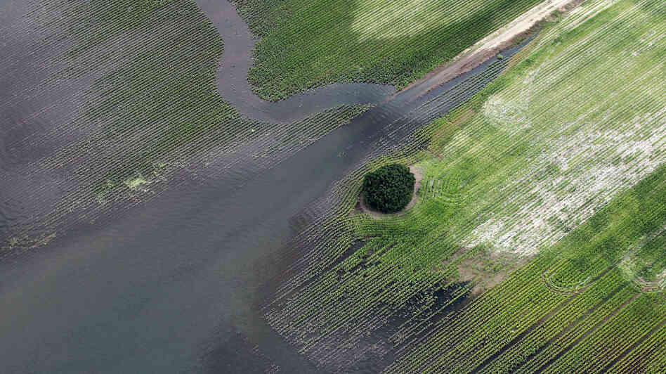 The Yazoo River floodwaters inundate crops last year in Yazoo County, Mississippi