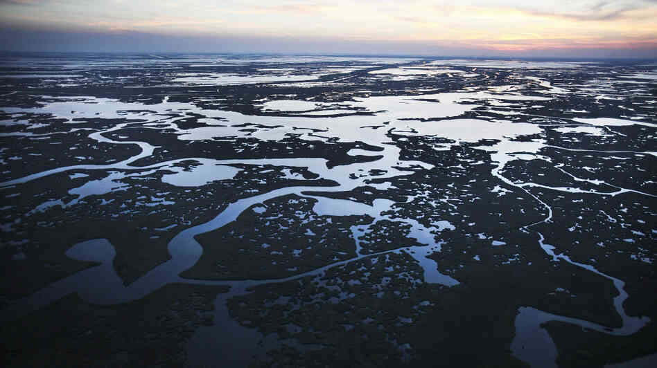 Pictured here on April 13, 2011, Barataria Bay — part of Louisiana's Barataria Basin — was one of the hardest hit areas in the aftermath of the Deepwater Horizon oil rig explosion. Today, obvious signs of the spill have faded, but communities are still reeling from its effects. Pictured here on April 13, 2011, Barataria Bay — part of Louisiana's Barataria Basin — was one of the hardest hit areas in the aftermath of the Deepwater Horizon oil rig explosion. Today, obvious signs of the spill have faded, but communities are still reeling from its effects.