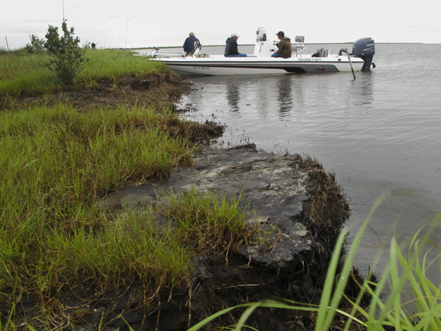 Two years later, this Bay Jimmy island is part of 200 miles of Louisiana shoreline still fouled by the BP oil spill.  A layer of oil has hardened along the coast, creating a thick layer of asphalt-like tar that's choking the edge of the marsh and accelerating an already alarming rate of coastal erosion.