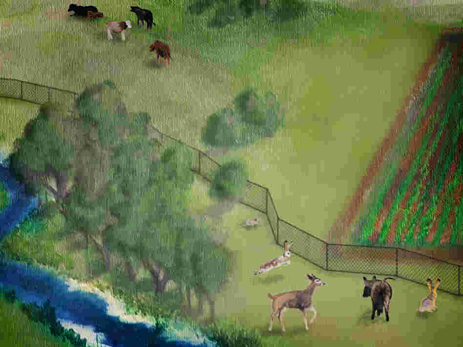 A clampdown on contamination in growing fields has pushed out wildlife and destroyed habitats.