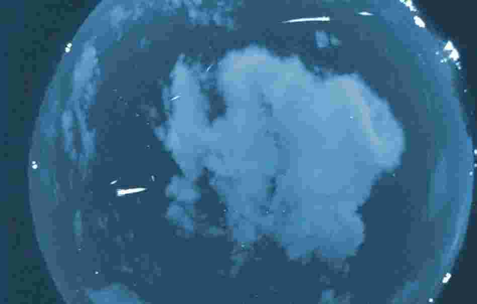 A composite of Lyrids over Huntsville, Ala., in 2009. This year, the meteor shower will hit its peak before dawn Sunday morning.