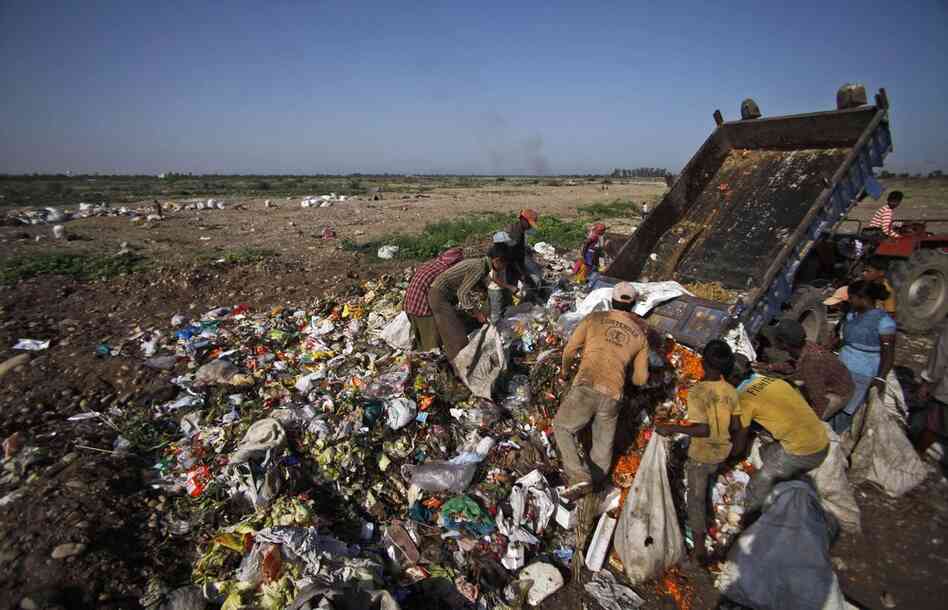 Ragpickers comb a garbage dump on the outskirts of Jammu, India. 
