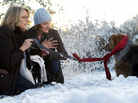 Beth (Diane Keaton) and her daughter (Elisabeth Moss) rescue an injured dog from the side of the highway. Beth's husband (Kevin Kline) later loses the beloved pet, an event co-writer Meg Kasdan says is inspired by a real-life incident. Beth (Diane Keaton) and her daughter (Elisabeth Moss) rescue an injured dog from the side of the highway. Beth's husband (Kevin Kline) later loses the beloved pet, an event co-writer Meg Kasdan says is inspired by a real-life incident.