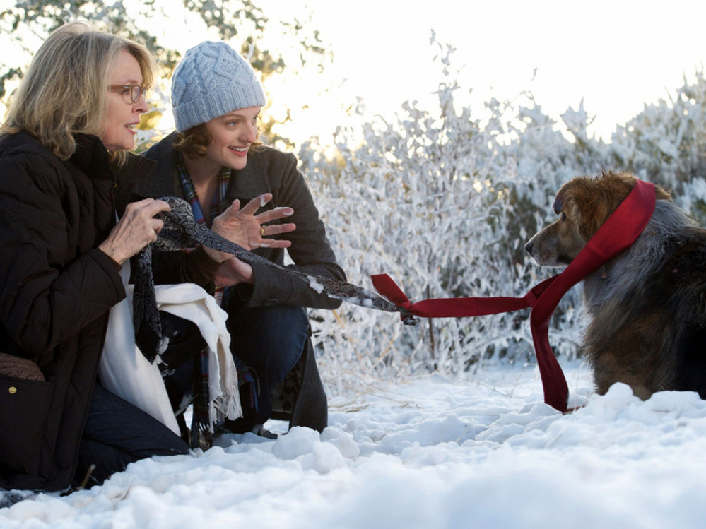 Beth (Diane Keaton) and her daughter (Elisabeth Moss) rescue an injured dog from the side of the highway. Beth's husband (Kevin Kline) later loses the beloved pet, an event co-writer Meg Kasdan says is inspired by a real-life incident.