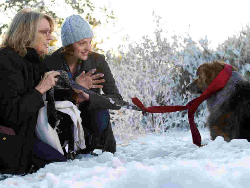Beth (Diane Keaton) and her daughter (Elisabeth Moss) rescue an injured dog from the side of the highway. Beth's husband (Kevin Kline) later loses the beloved pet, an event co-writer Meg Kasdan says is inspired by a real-life incident.