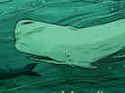 promo image promo image