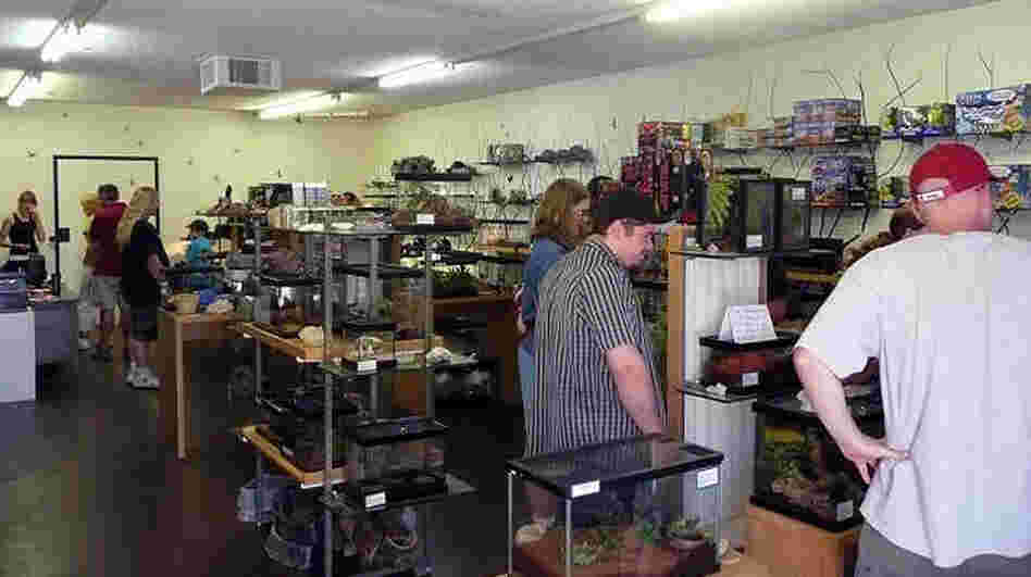 Customers look at the inventory in Ken "The Bug Guy" MacNeil's pet store in Tucson, Ariz.