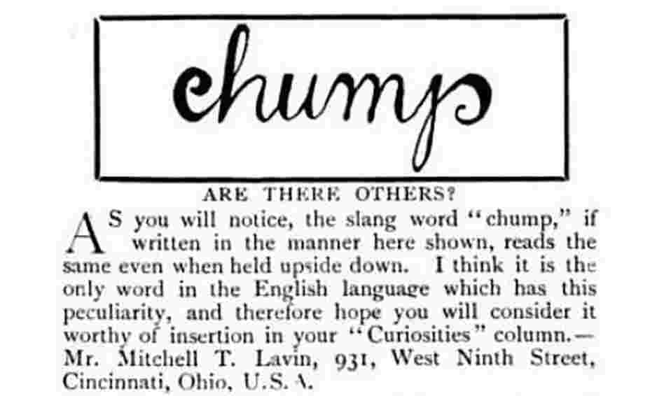 "chump" "chump"
