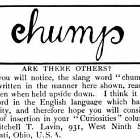 "chump"