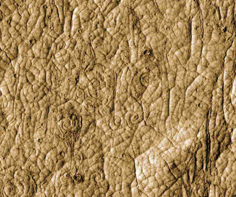 This image provided by NASA shows lava flows in the shape of coils located near the equatorial region of Mars.