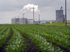 Young corn plants grow next to the Guardian Energy ethanol plant in Janesville, Minn. Five years ago, the U.S. government projected that in 2012, ethanol production would use up 30 percent of the nation's corn supply. Last year, it used 40 percent. Young corn plants grow next to the Guardian Energy ethanol plant in Janesville, Minn. Five years ago, the U.S. government projected that in 2012, ethanol production would use up 30 percent of the nation's corn supply. Last year, it used 40 percent.