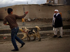 What does daily life in Kabul, Afghanistan, look like? What does daily life in Kabul, Afghanistan, look like?