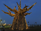 A baobab tree is lit up in South Africa. A baobab tree is lit up in South Africa.