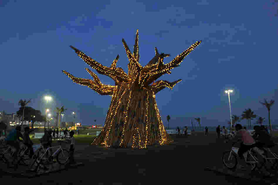 Who doesn't love baobabs? They're just awesome. This one is lit up in South Africa, 2011. 