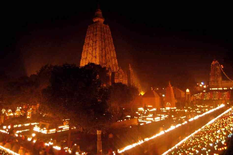 The sacred fig at the Maha Bodhi temple in Bodh Gaya, India, is believed to be the tree under which Buddha attained enlightenment. 