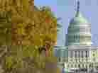 Congress promo art
