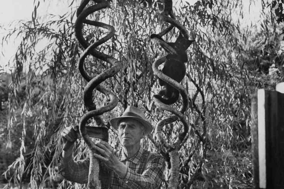 Axel Erlandson was a Swedish-American farmer known for his "Tree Circus," in which he grafted and shaped trees into unusual shapes. 