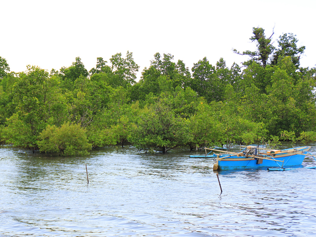 A rising tide submerges mangrove trees and lifts local boats in Tiwoho Village in Indonesia's North Sulawesi province. Two decades ago, locals began efforts to revitalize the area's mangroves.